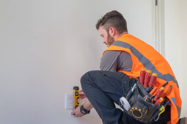 Best Electric Panel Repair  in Verandah, FL